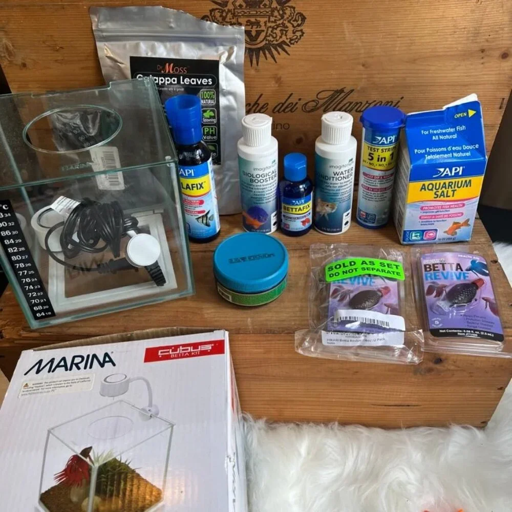 Betta Fish Huge Bundle basically new